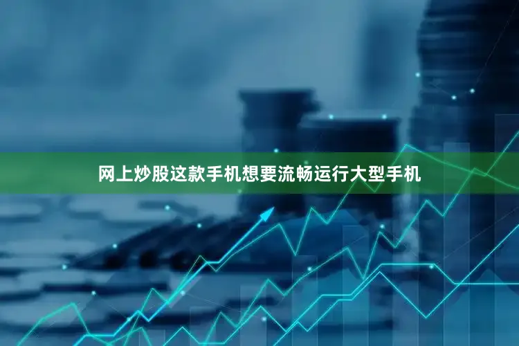 网上炒股这款手机想要流畅运行大型手机