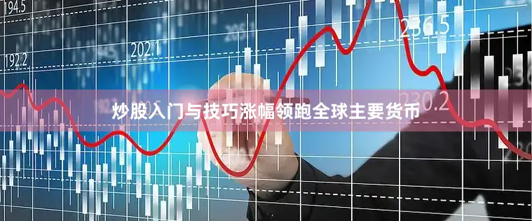 炒股入门与技巧涨幅领跑全球主要货币