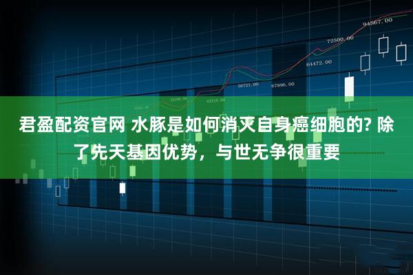 君盈配资官网 水豚是如何消灭自身癌细胞的? 除了先天基因优势,与世无争很重要
